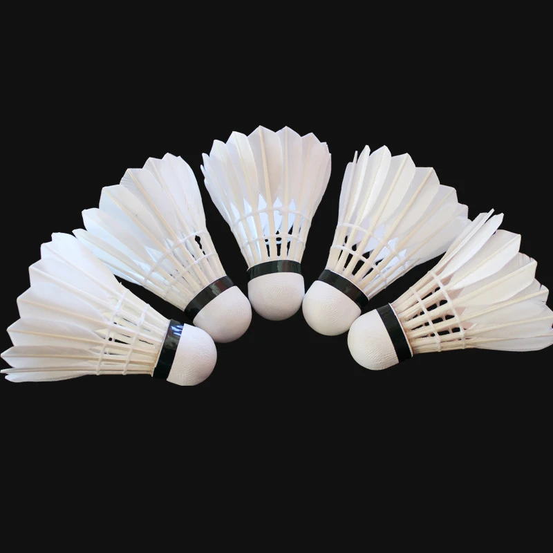 맞춤형 로고 거위털 클럽 훈련용 셔틀콕 배드민턴 대회용 - Badminton Club Logo 리뷰 및 가격